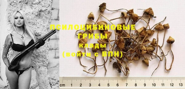 mdma Ладушкин