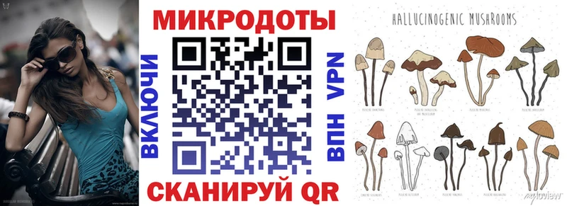 купить закладку Николаевск-на-Амуре Галлюциногенные грибы MAGIC MUSHROOMS